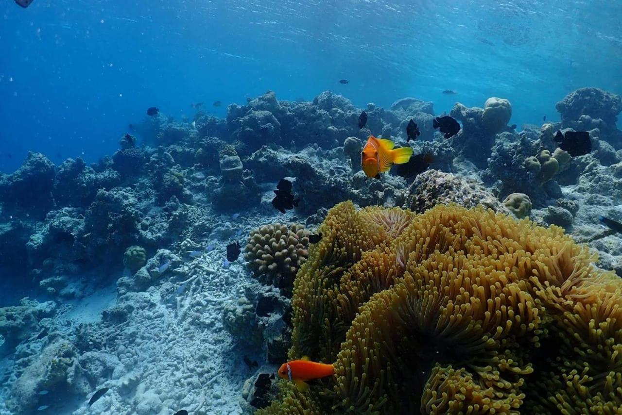 Chambao Maldives Hotel Guraidhoo  Ngoại thất bức ảnh