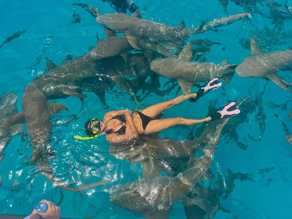 Chambao Maldives Hotel Guraidhoo  Ngoại thất bức ảnh